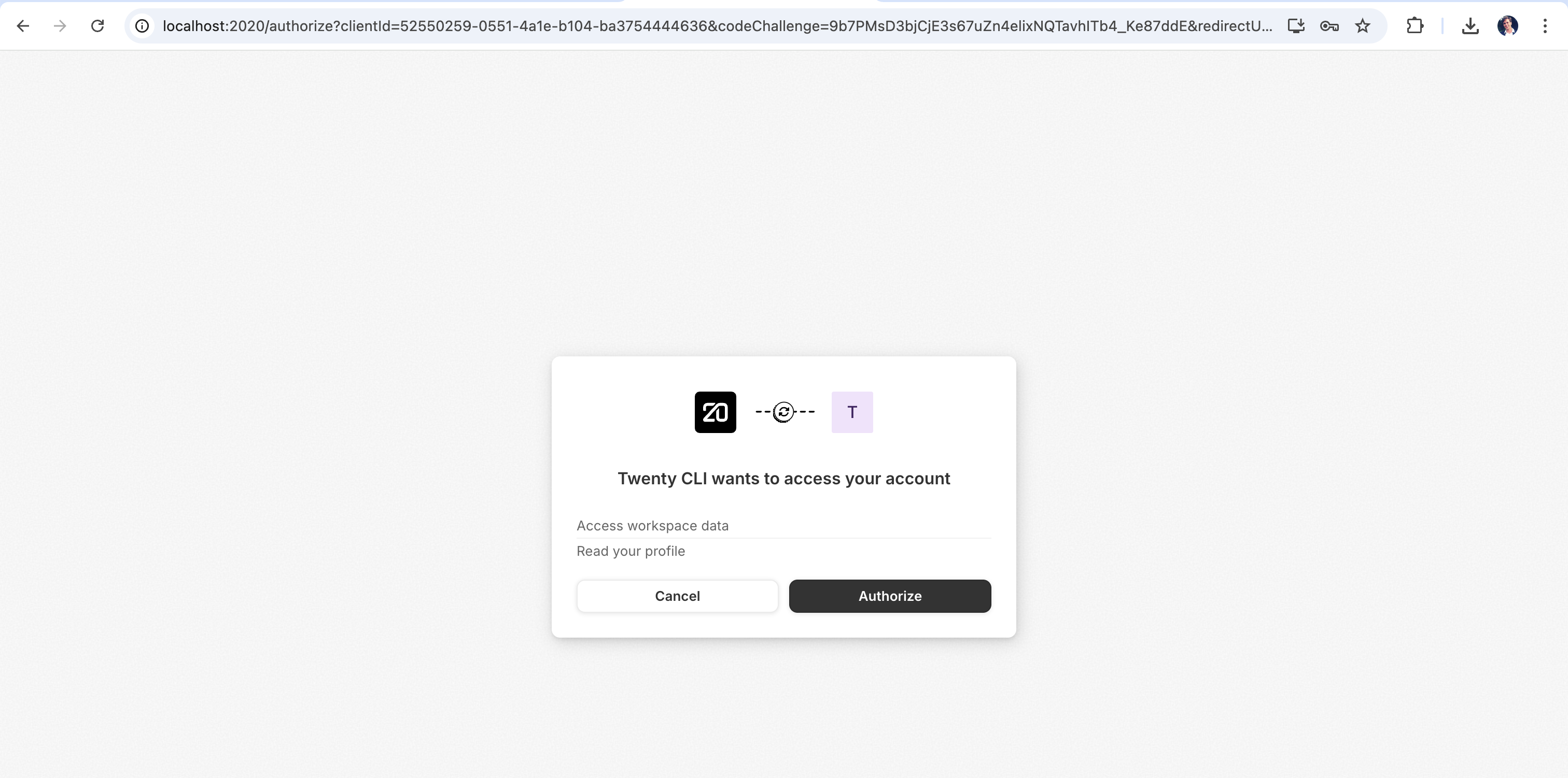 Tina CRM CLI authorization screen